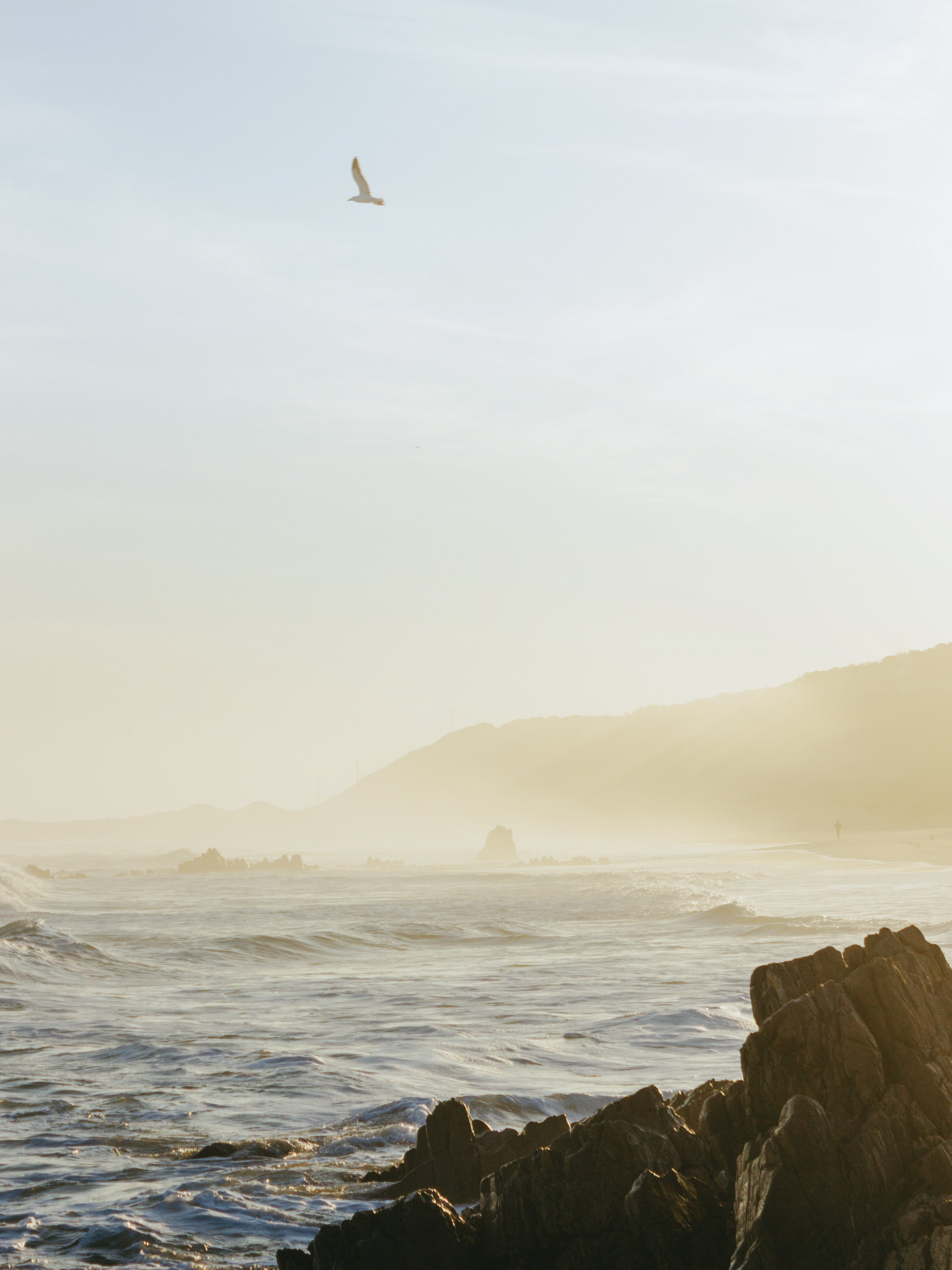 banner_image