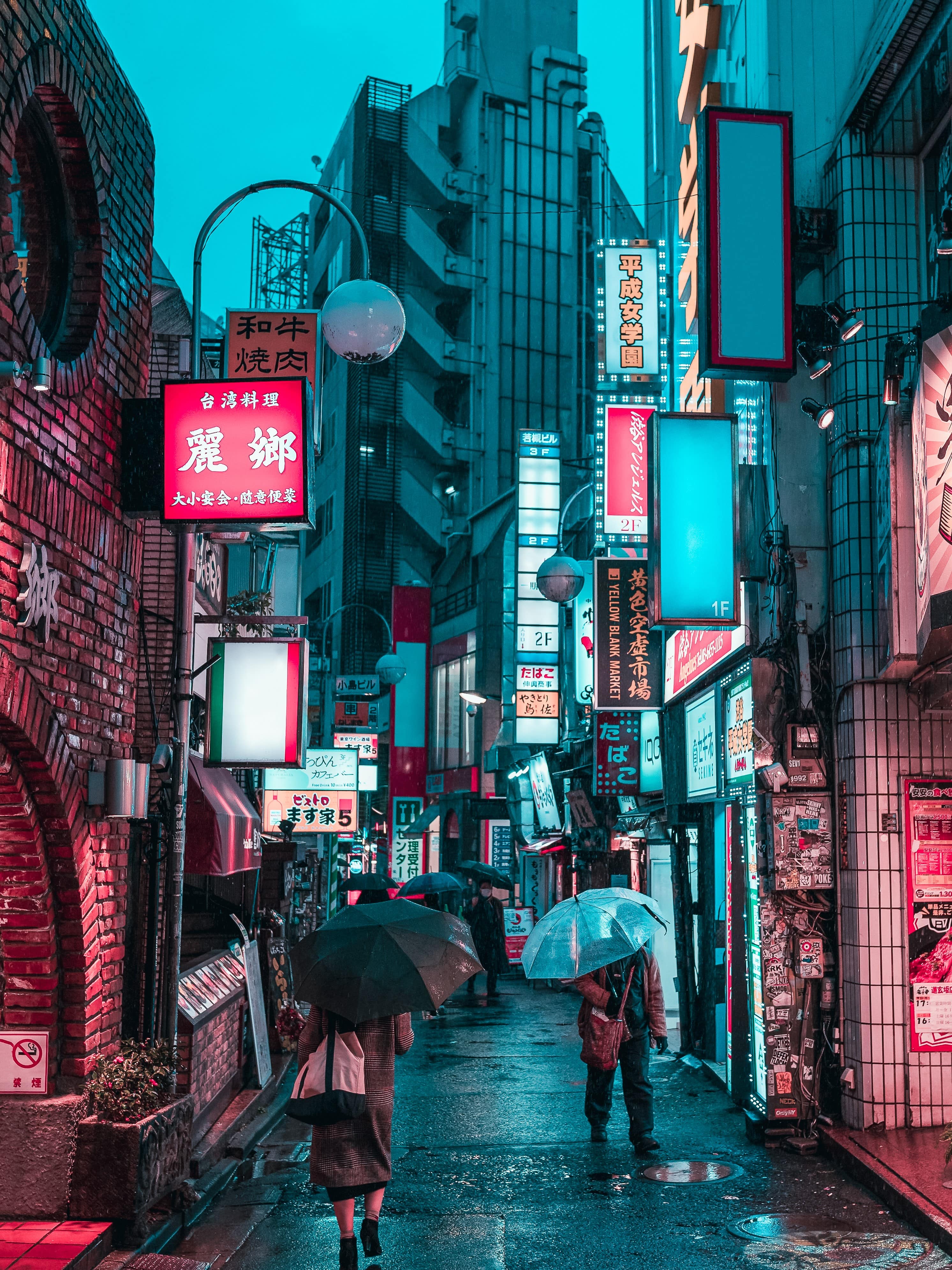 Lively Nights