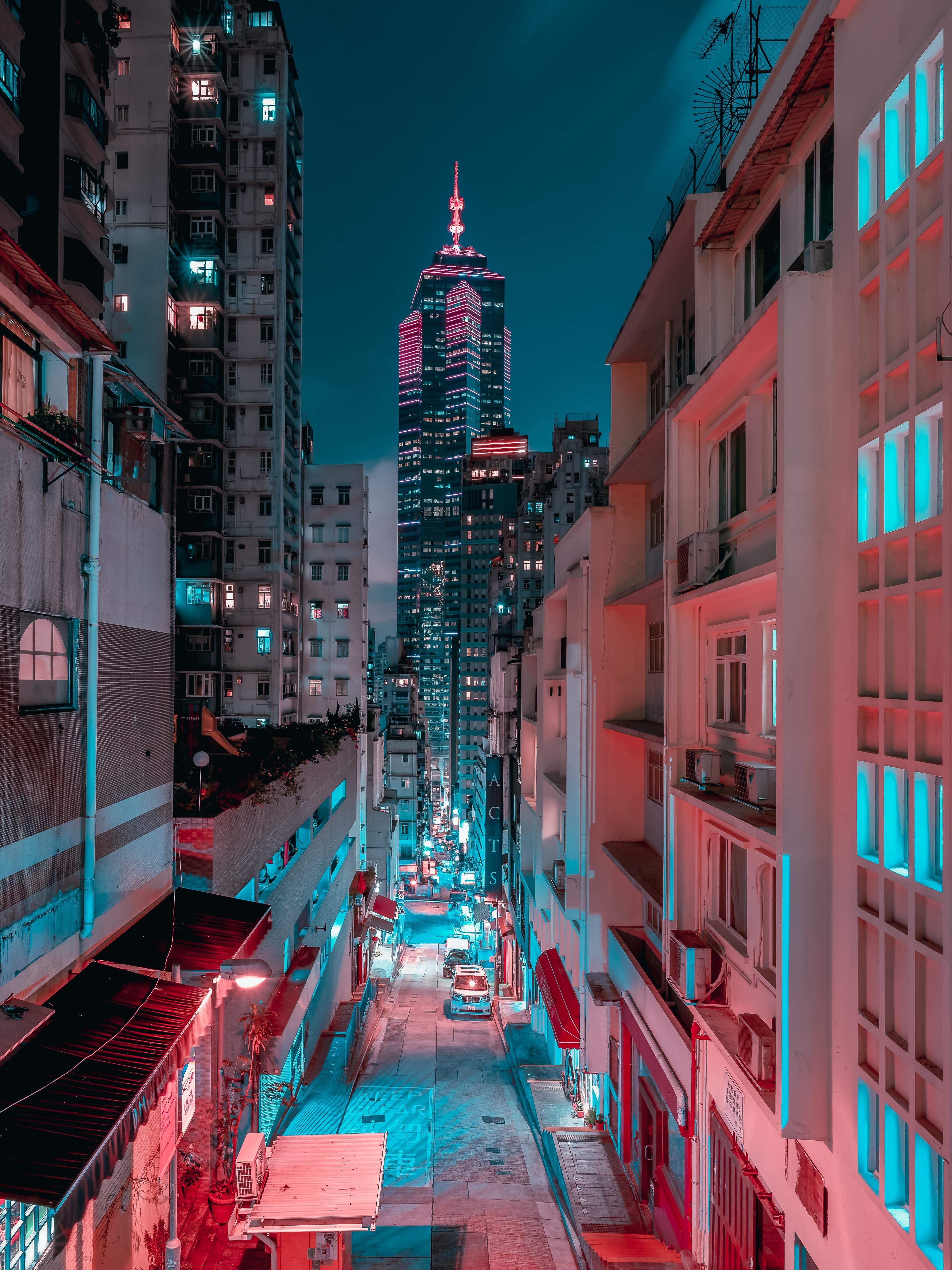 Lively Nights