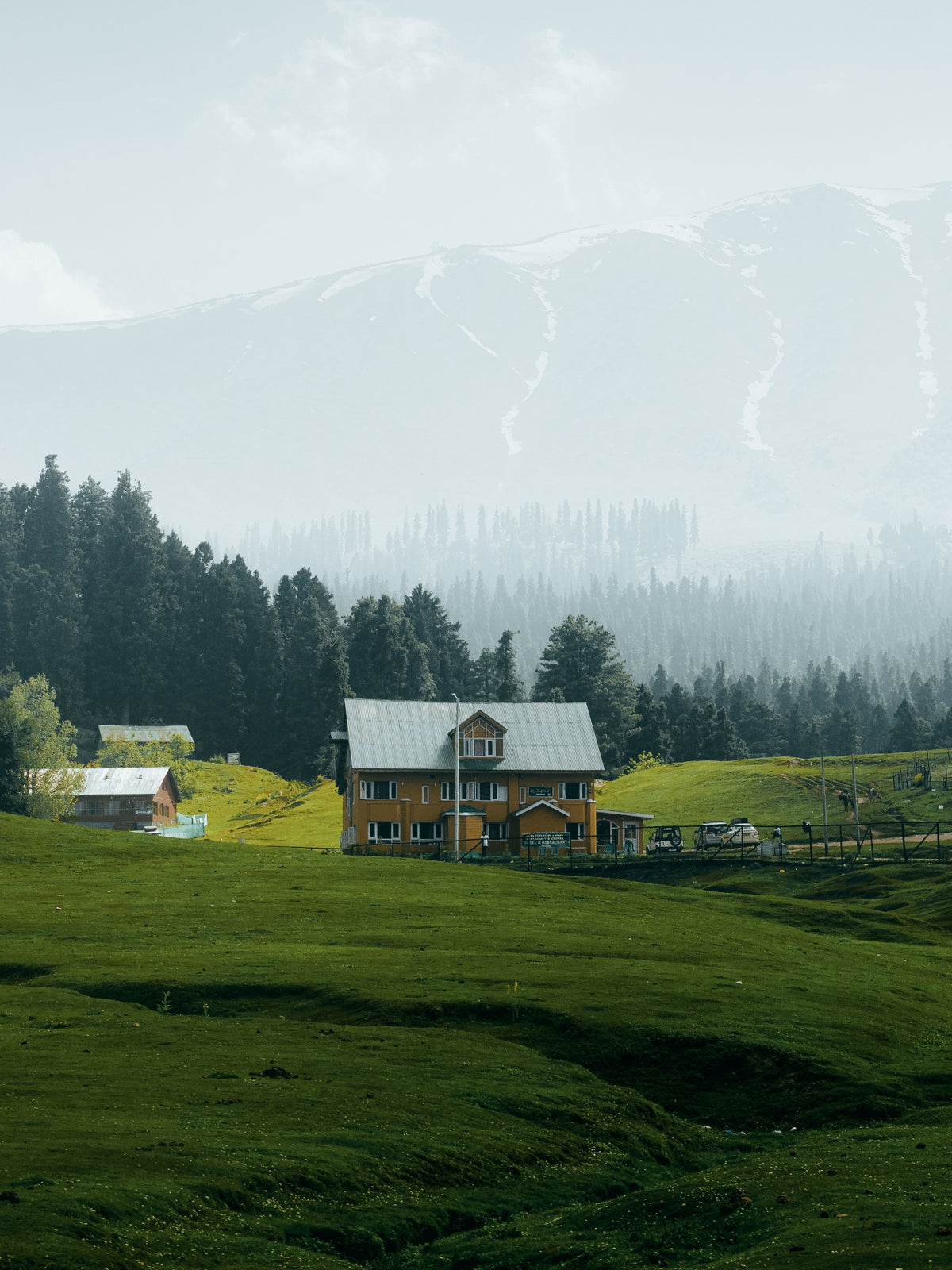 Soft Nature