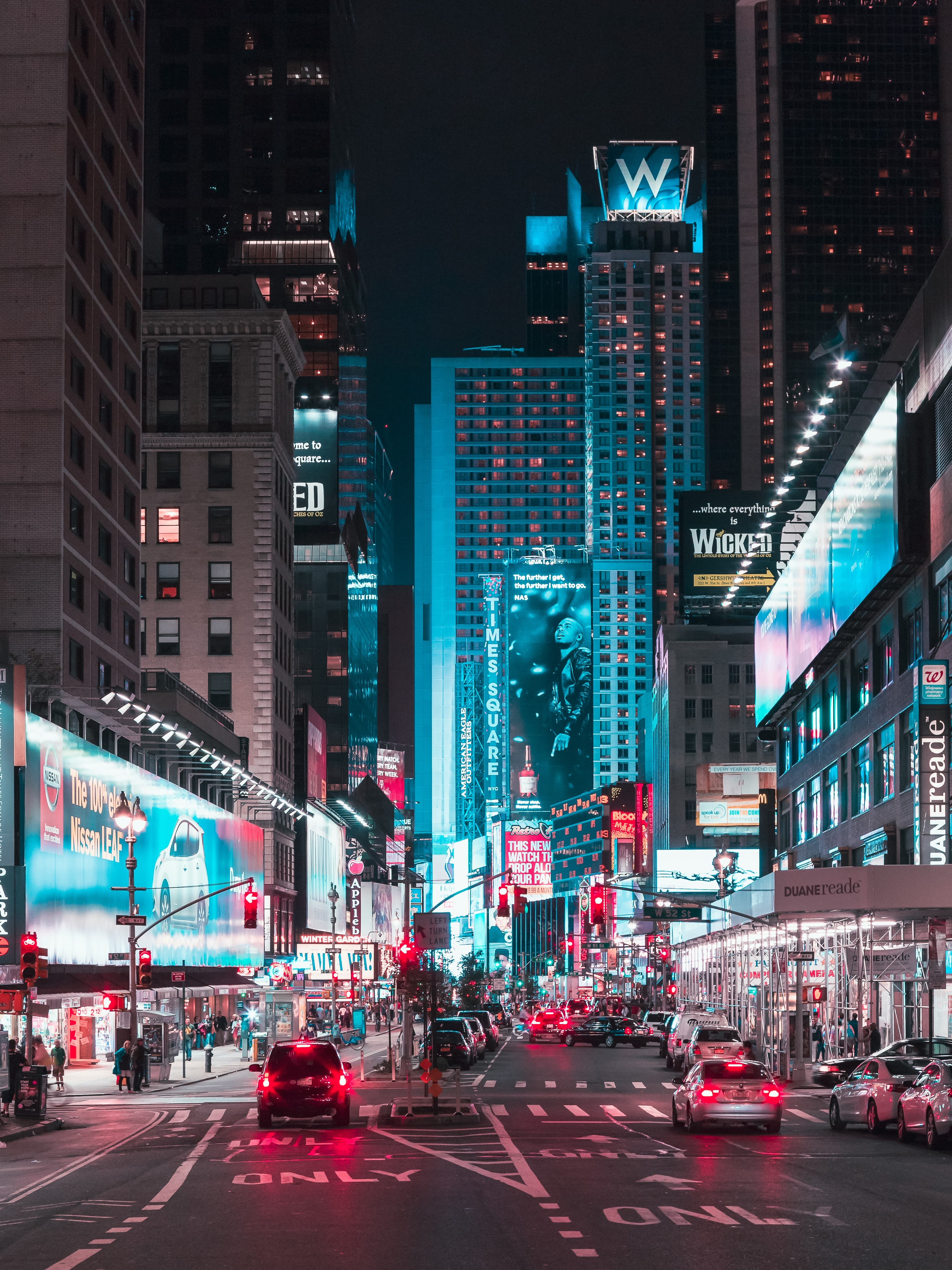 Lively Nights